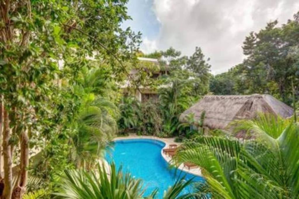 Condo Complex With An Alluring Pool & Tropical Vibes By Stella Rentals! Tulum Zewnętrze zdjęcie